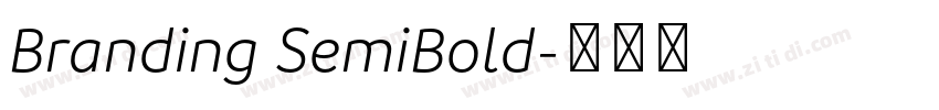 Branding SemiBold字体转换